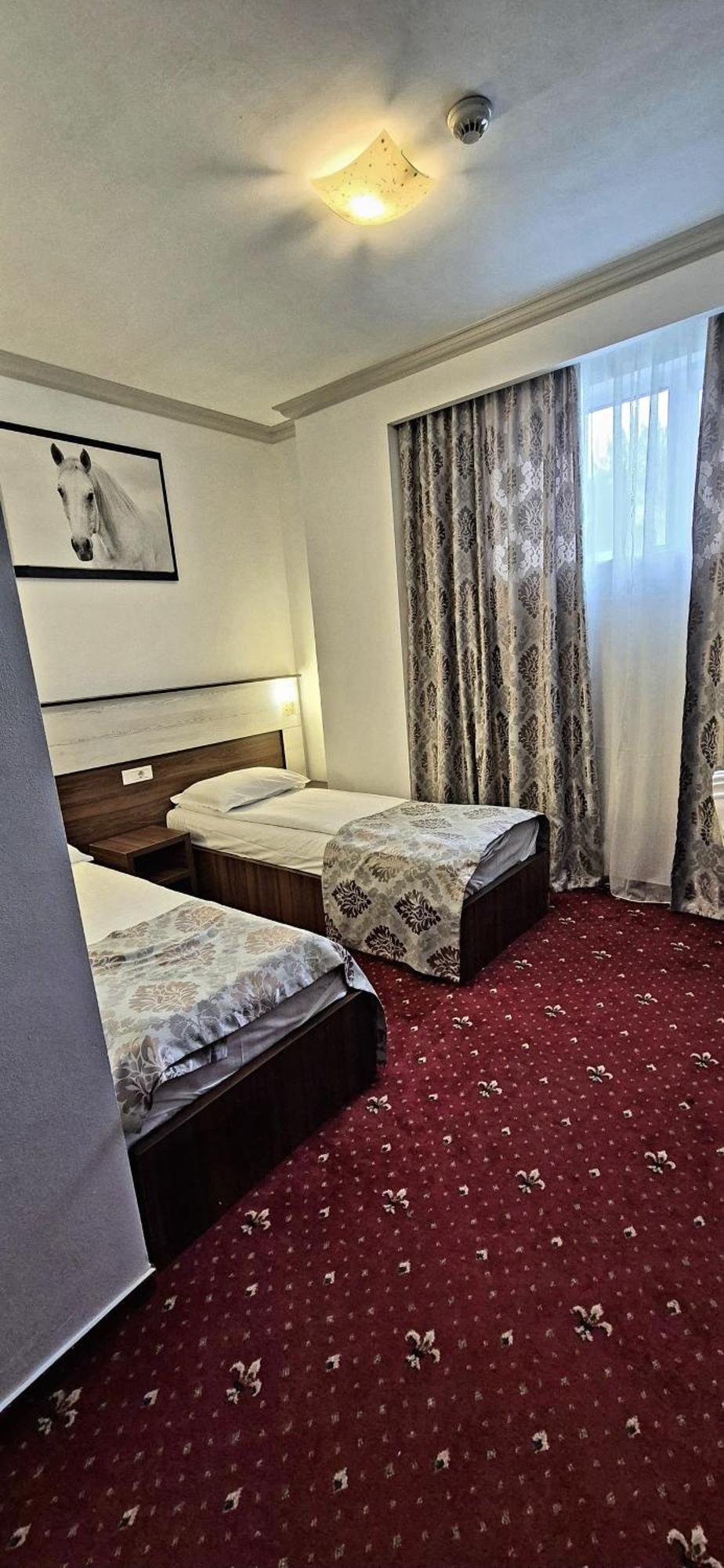 Hostel Orhideea บูเซา ภายนอก รูปภาพ